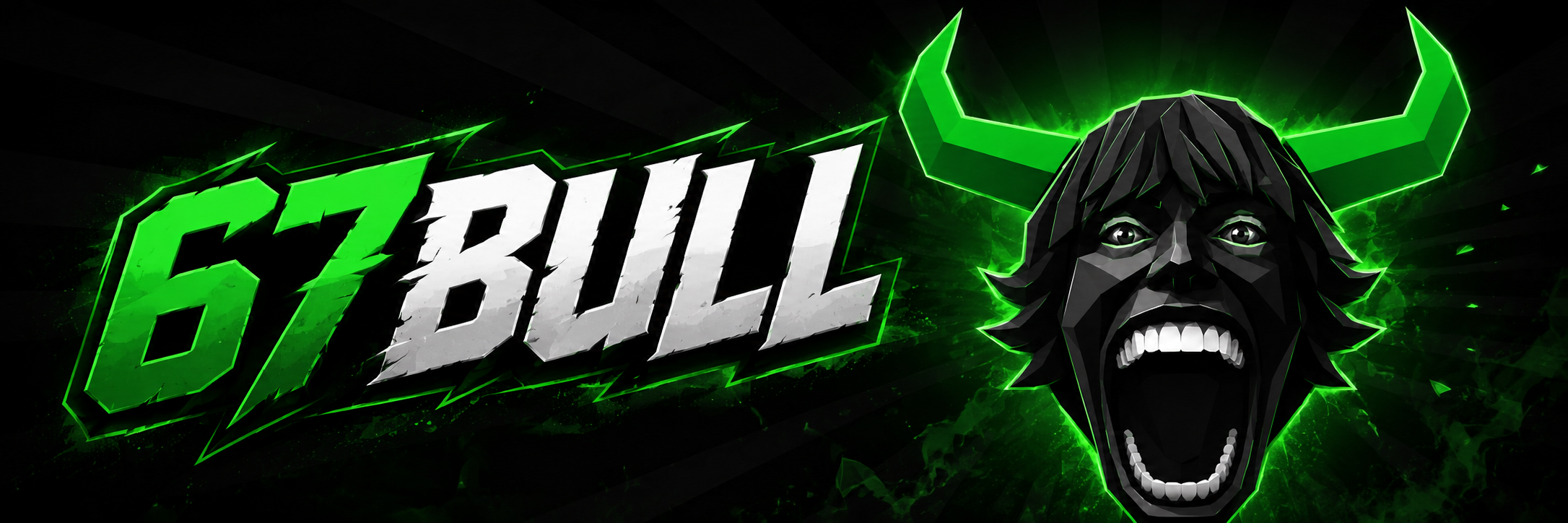 67BULL banner